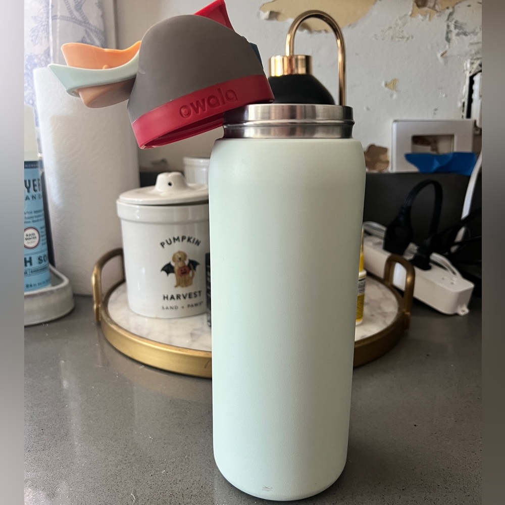 Owala FreeSip 32oz in Mint Green
